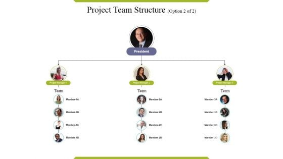Project Team Structure Template Ppt PowerPoint Presentation Pictures Elements Project Team Structure Template Ppt PowerPoint Presentation Pictures Elements