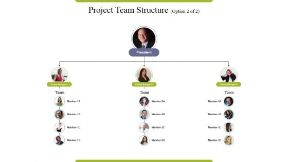 Project Team Structure Template Ppt PowerPoint Presentation Pictures Elements