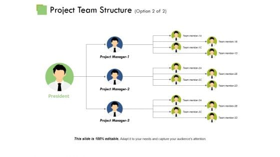 Project Team Structure Template Ppt PowerPoint Presentation Professional Vector