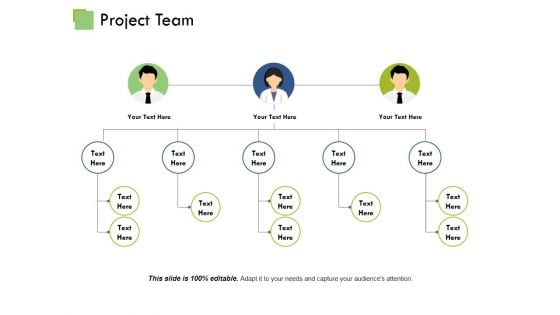 Project Team Template 1 Ppt PowerPoint Presentation Summary Samples