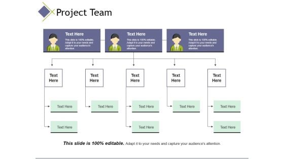 Project Team Template 3 Ppt PowerPoint Presentation Show Sample Project Team Template 3 Ppt PowerPoint Presentation Show Sample