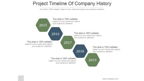 Project Timeline Of Company History Ppt PowerPoint Presentation Rules