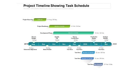 Project Timeline Showing Task Schedule Ppt PowerPoint Presentation Outline Examples