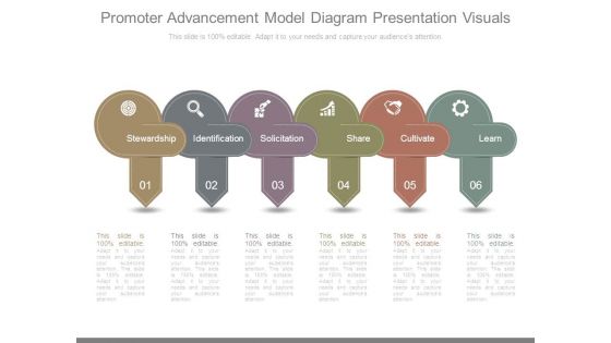 Promoter Advancement Model Diagram Presentation Visuals