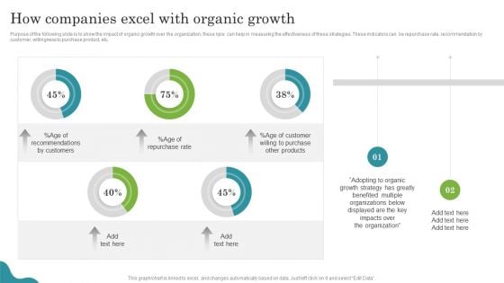 Promoting Growth Internal Operations Techniques Playbook How Companies Excel With Organic Growth Rules PDF