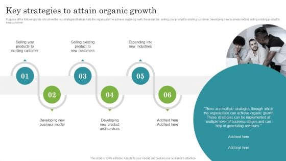 Promoting Growth Internal Operations Techniques Playbook Key Strategies To Attain Organic Growth Sample PDF