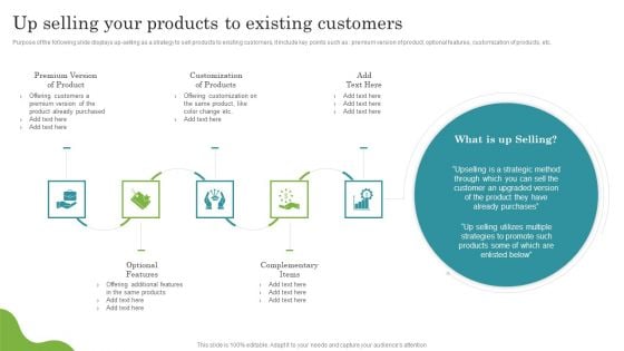 Promoting Growth Internal Operations Techniques Playbook Up Selling Your Products To Existing Customers Structure PDF