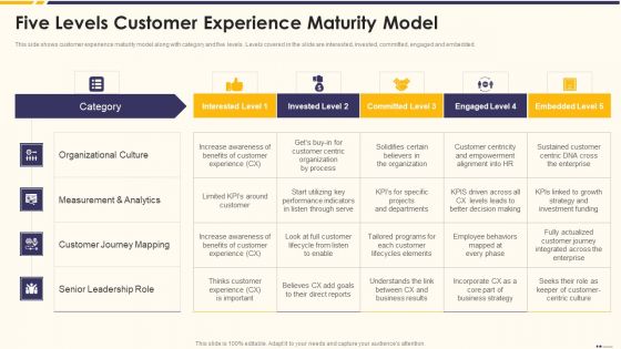 Promotion Standard Practices Tools And Templates Five Levels Customer Experience Maturity Model Pictures PDF