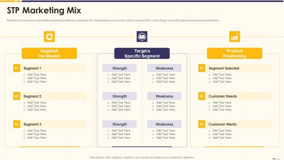 Promotion Standard Practices Tools And Templates STP Marketing Mix Formats PDF