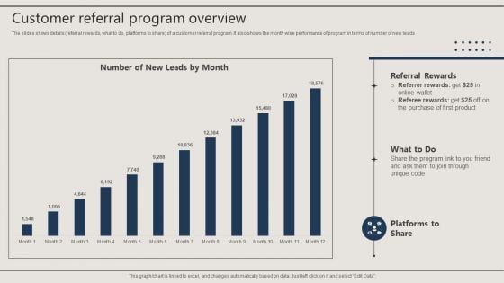 Promotion Techniques Used By B2B Firms Customer Referral Program Overview Portrait PDF