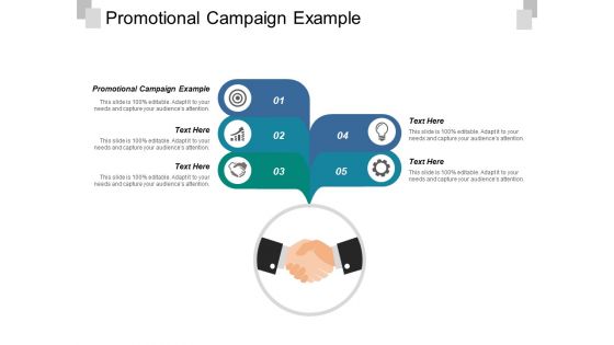 Promotional Campaign Example Ppt PowerPoint Presentation Infographics Information