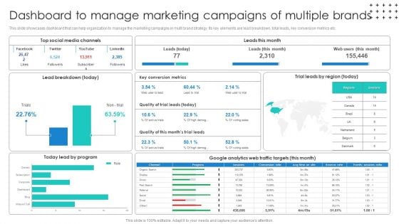 Promotional Techniques To Market Several Brands Among Target Groups Dashboard To Manage Background PDF