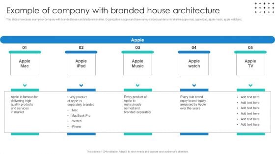 Promotional Techniques To Market Several Brands Among Target Groups Example Of Company Background PDF