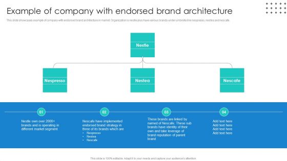 Promotional Techniques To Market Several Brands Among Target Groups Example Of Company With Endorsed Icons PDF