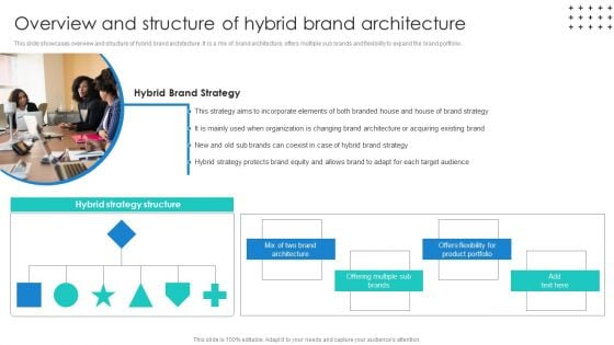 Promotional Techniques To Market Several Brands Among Target Groups Overview And Structure Of Hybrid Guidelines PDF