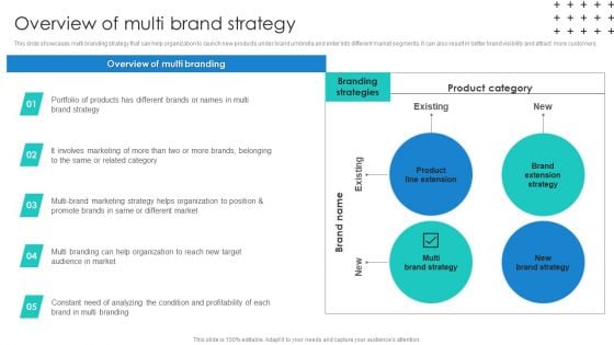 Promotional Techniques To Market Several Brands Among Target Groups Overview Of Multi Brand Introduction PDF