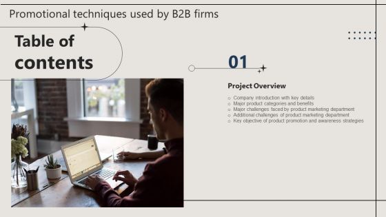 Promotional Techniques Used By B2B Firms Table Of Contents Graphics PDF