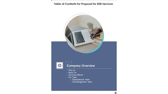 Proposal For B2B Services Table Of Contents One Pager Sample Example Document