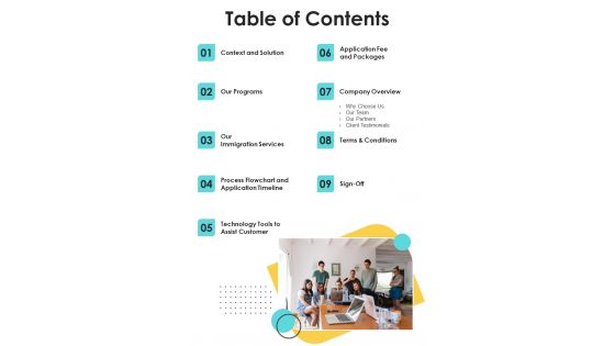 Proposal For Immigration Expert Table Of Contents One Pager Sample Example Document