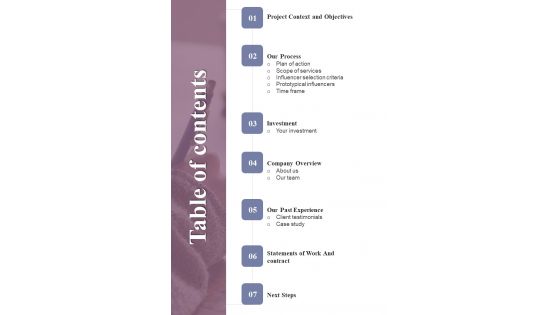 Proposal For Online Marketing Table Of Contents One Pager Sample Example Document