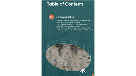 Proposal For Professional Mold Inspection And Cleanup Services Table Of Contents One Pager Sample Example Document Proposal For Professional Mold Inspection And Cleanup Services Table Of Contents One Pager Sample Example Document