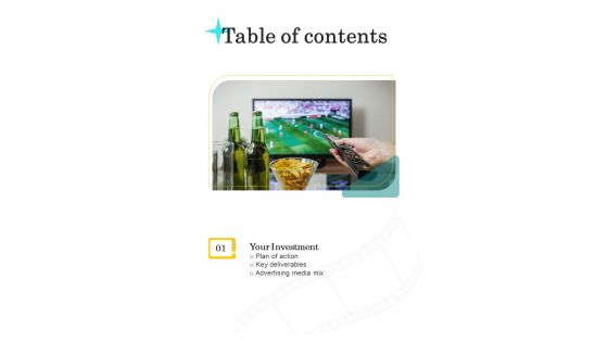 Proposal For Television Advertisement Services Table Of Contents One Pager Sample Example Document