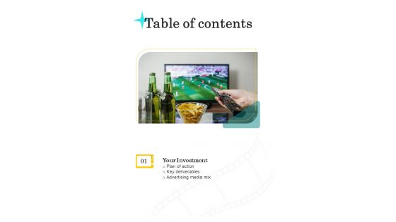 Proposal For Television Advertisement Services Table Of Contents One Pager Sample Example Document Proposal For Television Advertisement Services Table Of Contents One Pager Sample Example Document