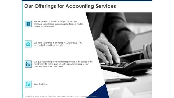 Proposal Template For Accounting Services Our Offerings For Accounting Services Ppt Outline Model PDF