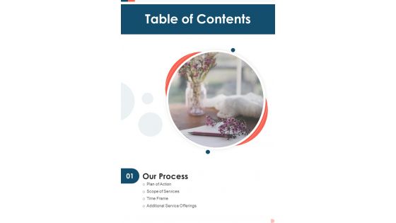 Proposal To Publish Documentary Table Of Contents One Pager Sample Example Document