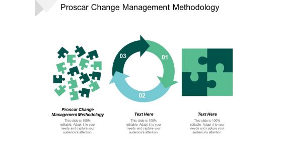 Proscar Change Management Methodology Ppt PowerPoint Presentation Outline Summary Cpb