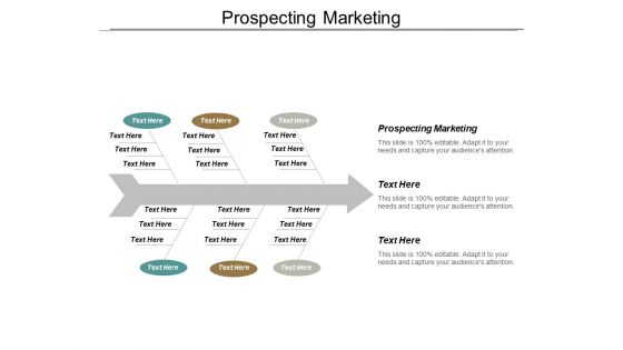 Prospecting Marketing Ppt PowerPoint Presentation File Outline Cpb
