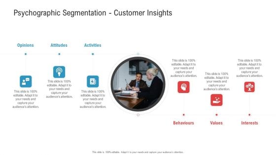 Psychographic Segmentation Customer Insights Ppt Layouts Graphics Download PDF