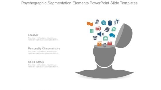 Psychographic Segmentation Elements Powerpoint Slide Templates