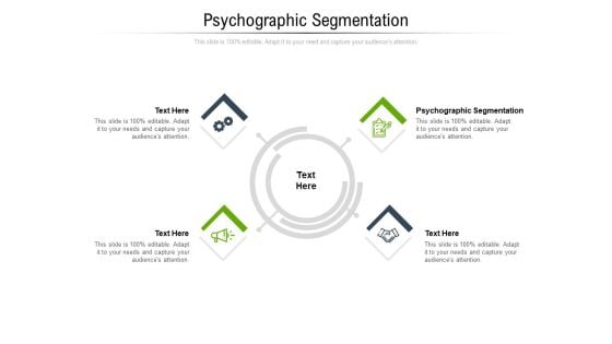 Psychographic Segmentation Ppt PowerPoint Presentation Summary Example Cpb Pdf