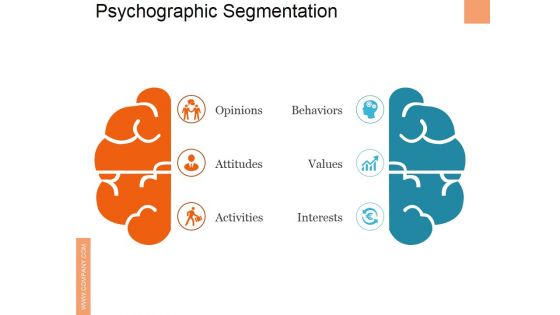 Psychographic Segmentation Ppt PowerPoint Presentation Summary Slides