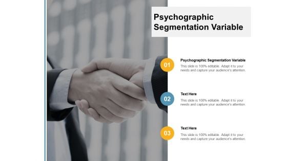 Psychographic Segmentation Variable Ppt PowerPoint Presentation Infographics Example File Cpb