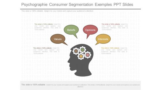 Psychographie Consumer Segmentation Exemples Ppt Slides