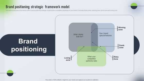 Psychological Locational And Situational Market Segmentation Plan Brand Positioning Strategic Framework Background PDF