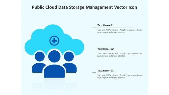 Public Cloud Data Storage Management Vector Icon Ppt PowerPoint Presentation Gallery Clipart Images PDF