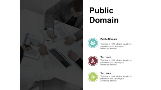 Public Domain Ppt PowerPoint Presentation Portfolio Example Introduction Cpb