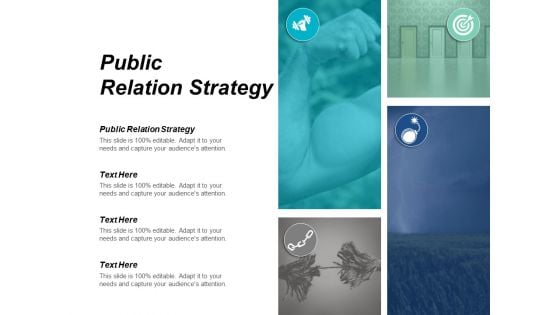 Public Relation Strategy Ppt PowerPoint Presentation Inspiration File Formats Cpb