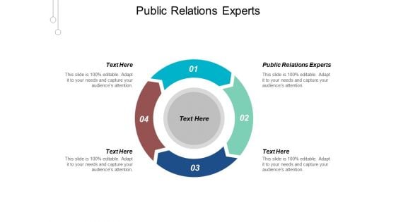 Public Relations Experts Ppt Powerpoint Presentation Influencers Cpb
