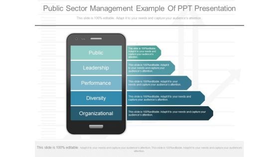 Public Sector Management Example Of Ppt Presentation