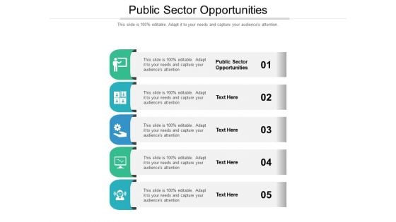 Public Sector Opportunities Ppt PowerPoint Presentation Styles Tips Cpb Pdf