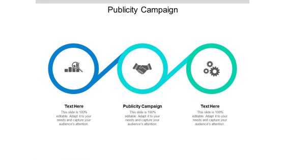 Publicity Campaign Ppt PowerPoint Presentation Show Cpb