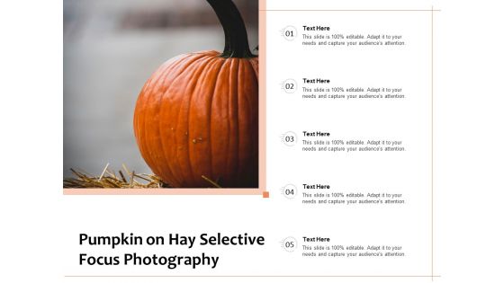 Pumpkin On Hay Selective Focus Photography Ppt PowerPoint Presentation File Gallery PDF