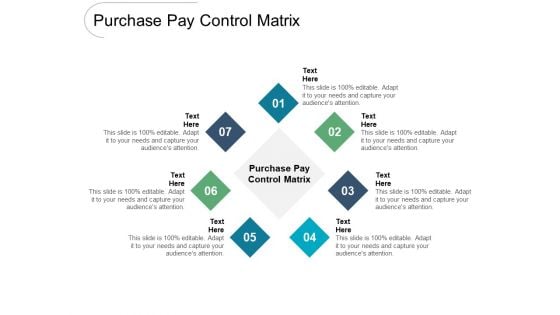 Purchase Pay Control Matrix Ppt PowerPoint Presentation Infographic Template Infographics Cpb Pdf