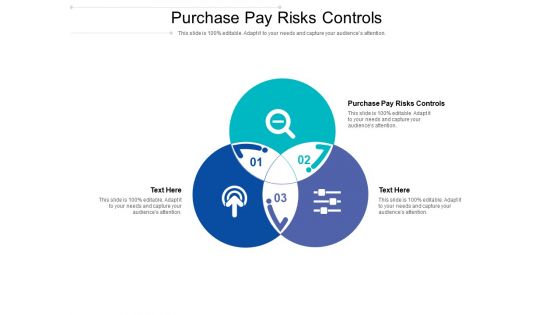 Purchase Pay Risks Controls Ppt PowerPoint Presentation File Layout Cpb Pdf