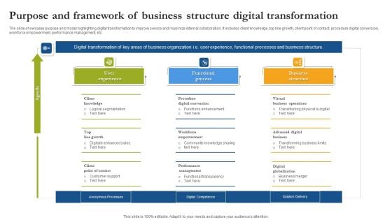 Purpose And Framework Of Business Structure Digital Transformation Demonstration PDF