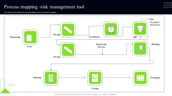 Quality Assessment Process Mapping Risk Management Tool Professional PDF